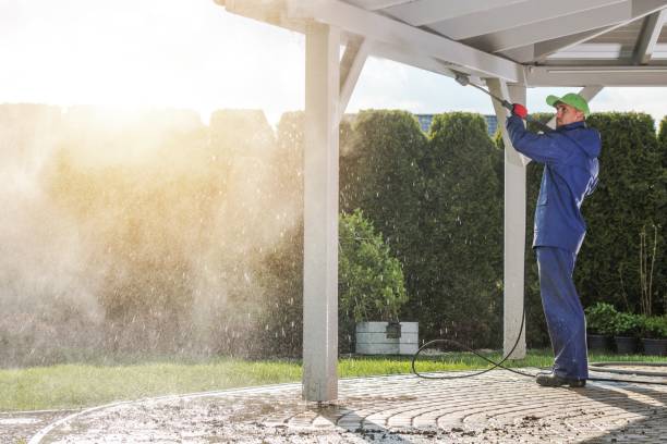 Best Solar Panel Cleaning  in Meiners Oaks, CA